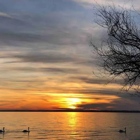 Apartmán Your Cosy Getaway Halfway Between And Forest