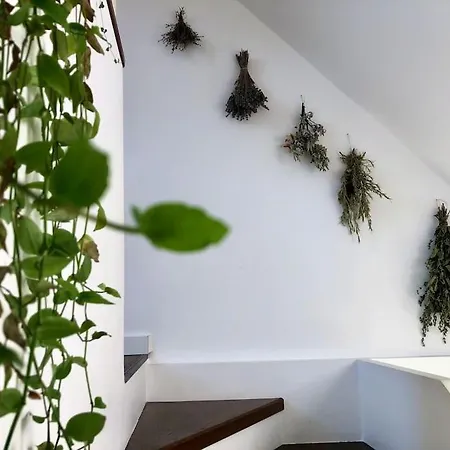 Your Cosy Getaway Halfway Between Lake&forest *