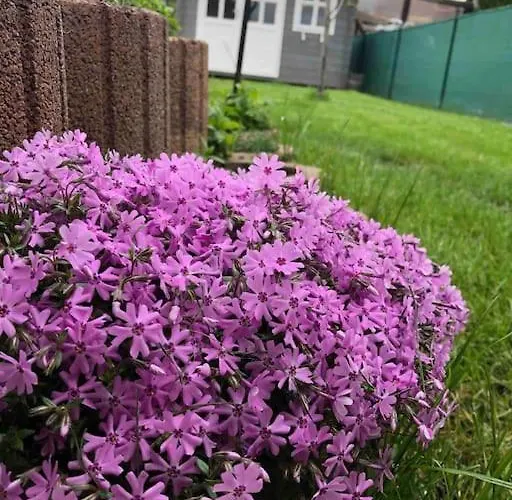 Apartmán Your Cosy Getaway Halfway Between And Forest Vonyarcvashegy