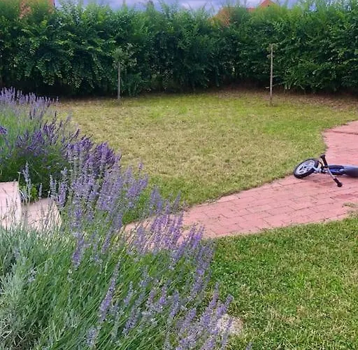 Apartmán Your Cosy Getaway Halfway Between And Forest *