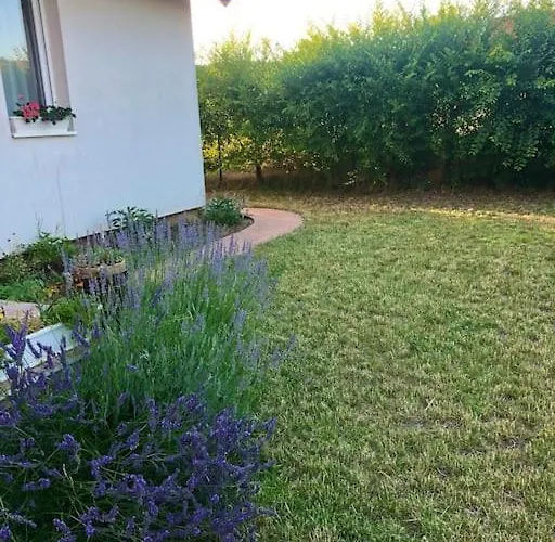 Apartmán Your Cosy Getaway Halfway Between And Forest