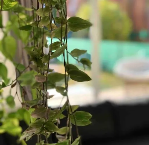 Your Cosy Getaway Halfway Between And Forest Apartmán