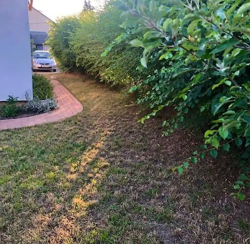 Apartmán Your Cosy Getaway Halfway Between And Forest *