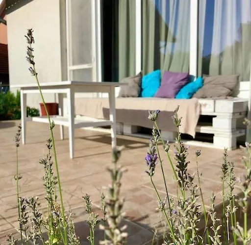 Apartmán Your Cosy Getaway Halfway Between And Forest