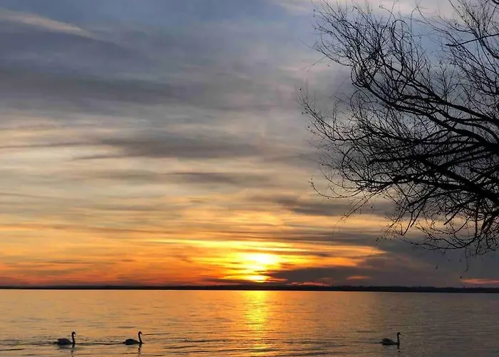 Apartmán Your Cosy Getaway Halfway Between And Forest