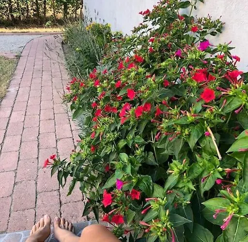 Your Cosy Getaway Halfway Between And Forest Apartmán