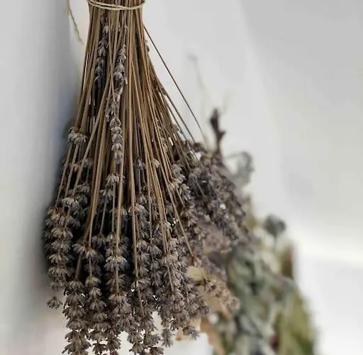 Apartmán Your Cosy Getaway Halfway Between And Forest